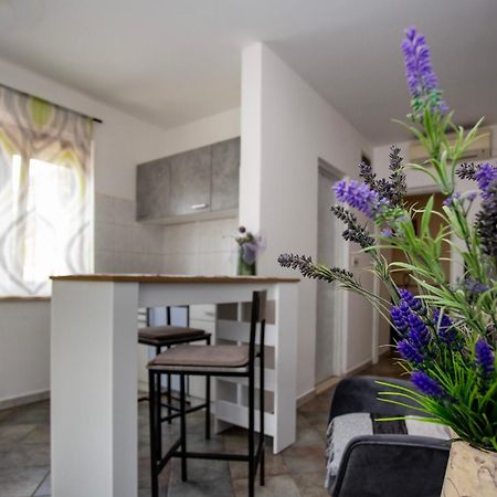Apartments Ina & Ika Ρόβινι Εξωτερικό φωτογραφία