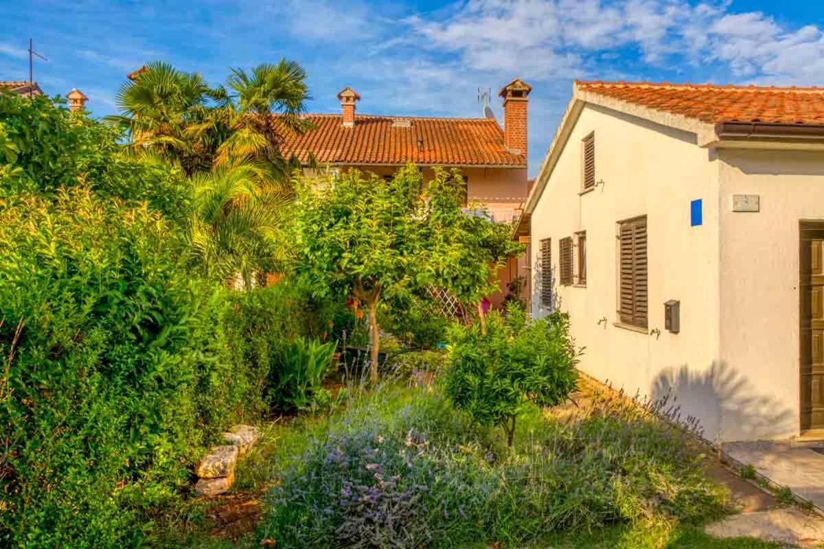 Apartments Ina & Ika Ρόβινι Εξωτερικό φωτογραφία
