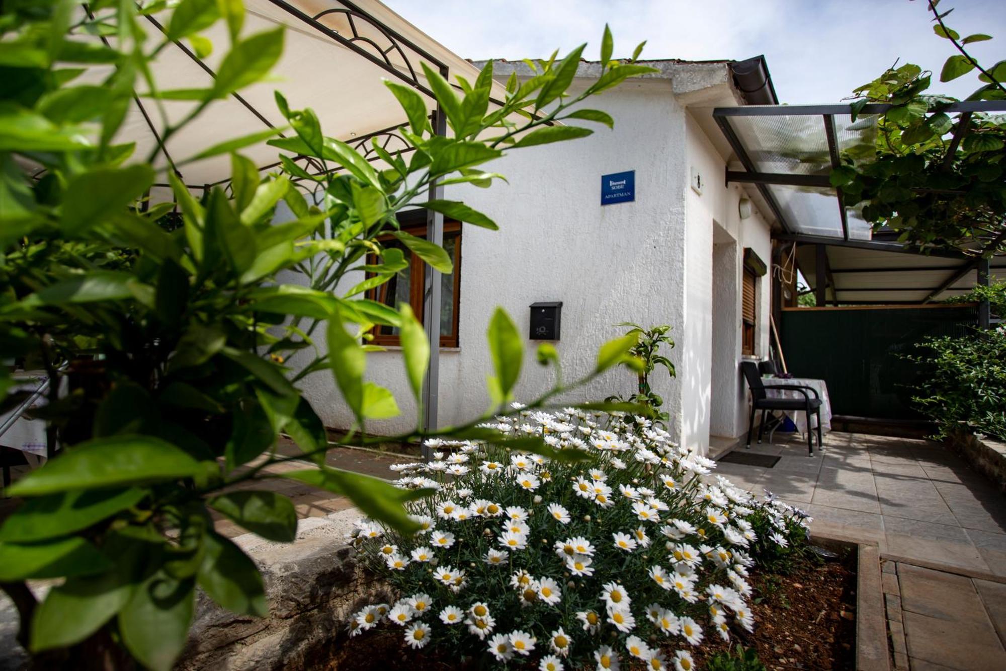 Apartments Ina & Ika Ρόβινι Εξωτερικό φωτογραφία