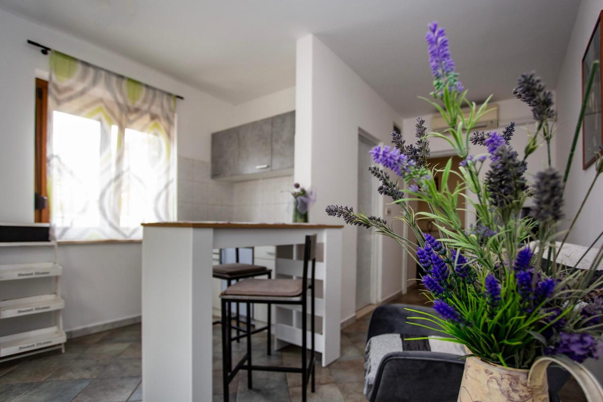Apartments Ina & Ika Ρόβινι Εξωτερικό φωτογραφία